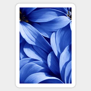 Beautiful Blue Flowers, for all those who love nature #93 Sticker